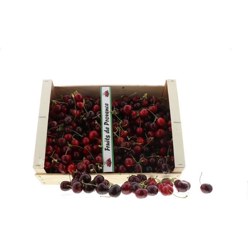 CERISE FOLFER CAL24+ 5KG